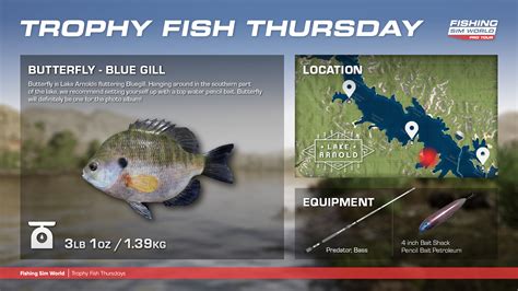 trophy fish|Contact – Trophy Fish.